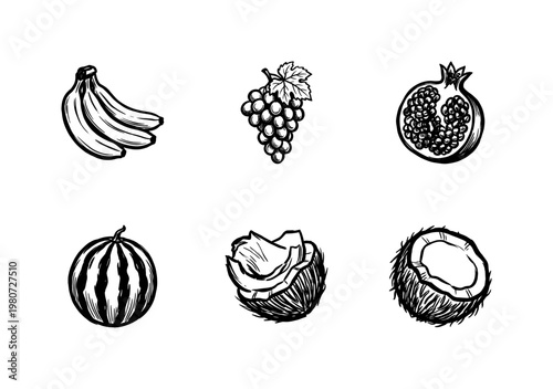 Fresh Organic Fruits and Tropical Botanical Elements with Hand-Drawn Inky Brushwork and Fluid Calligraphic Outlines