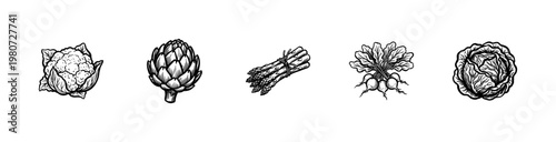 Fresh Garden Vegetables and Healthy Food Ingredients with Hand-Drawn Inky Brush Strokes and Expressive Painterly Lines.