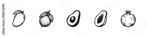 Tropical Fruits and Exotic Botanical Elements with Fluid Ink Brush Strokes and Hand-Drawn Painterly Style