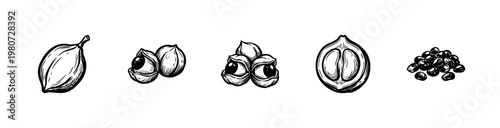 Guarana Superfood Berries and Amazonian Botanical Elements with Textured Ink Brush Strokes and Hand-Drawn Painterly Aesthetic