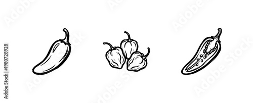 Chili Pepper and Spicy Vegetable Varieties with Hand-Drawn Inky Brushwork and Calligraphic Style