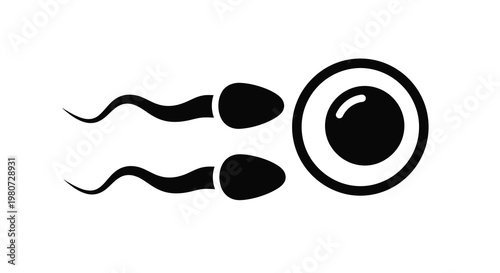 Simple black and white illustration depicting sperm cells approaching an egg cell