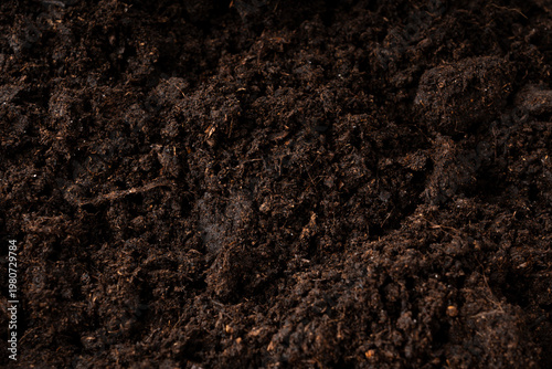 Fotografi Peat soil textured background