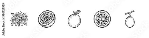 Exotic Passion Fruit and Tropical Botanical Elements with Painterly Hand-Drawn Ink Brush Strokes and Vibrant Watercolor Textures