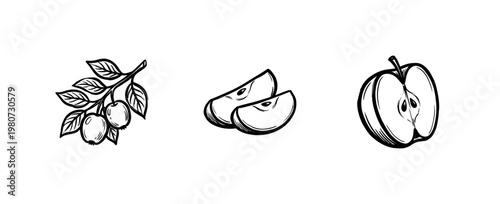 Green Apple Fruit and Botanical Leaf Sprigs with Hand-Drawn Painterly Style in Watercolor and Fluid Ink Brush Strokes.