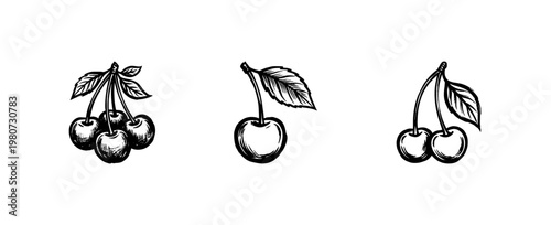 Cherry Fruit and Botanical Leaf Sprigs with Fluid Ink Brush Strokes in Hand-Drawn Painterly Style