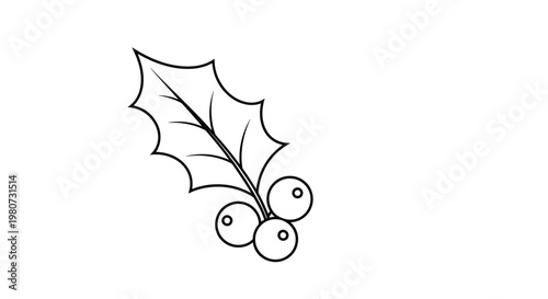 Simple black and white line art of a holly leaf with three berries representing a traditional winter holiday decoration for coloring.
