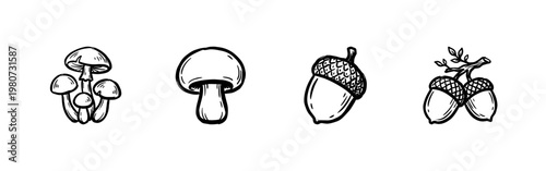 Edible Forest Porcini Mushrooms and Oak Acorns with Textured Inky Brushwork and Hand-Drawn Painterly Aesthetic