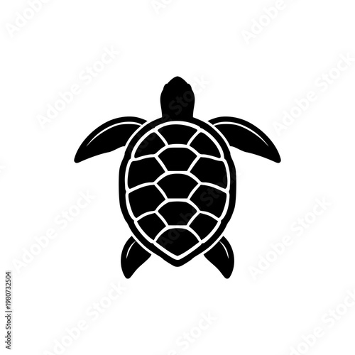 Sea turtle icon isolated on white background