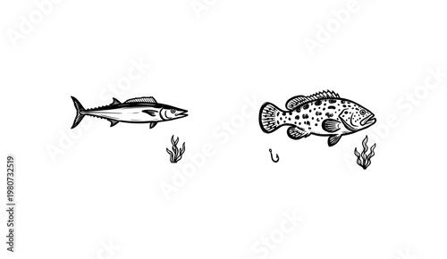 Marine Fish and Edible Saltwater Seafood Species with Fluid Ink Brush Strokes and Hand-Drawn Painterly Aesthetic