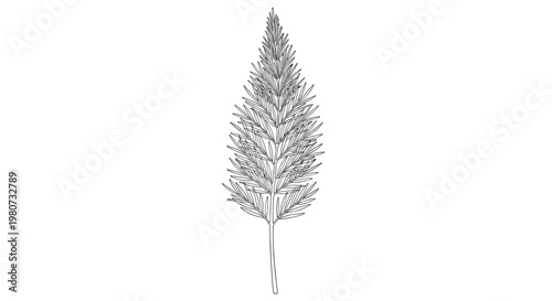 Elegant botanical sketch shows a tall and slender plant or grass head with fine details and a thin vertical stem.