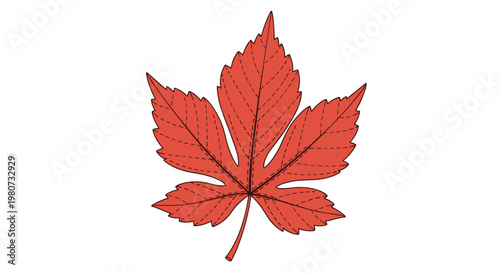 Large red maple leaf shows intricate vein patterns and serrated edges in a warm autumnal color palette on a plain field.