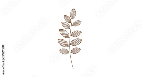 Branch with many small leaves features detailed internal hatching and a dark brown color on a white background.