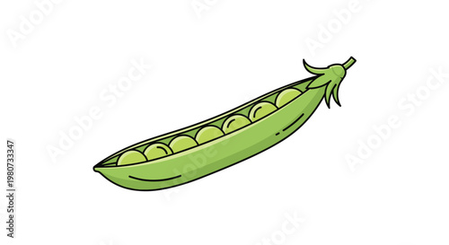 Fresh green pea pod is partially open to reveal a row of round peas inside, shown in a clean vector art style.