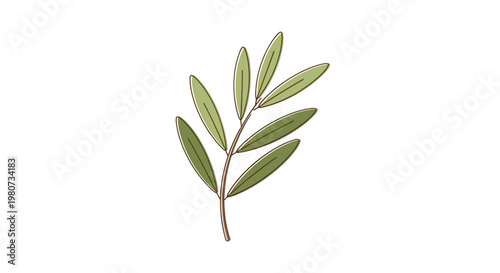 Detailed illustration of a slender plant branch with multiple green oval leaves isolated on a white background for botanical or nature designs.