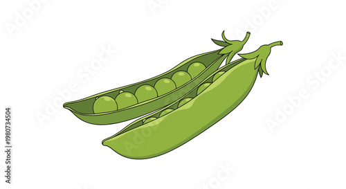 Illustration of two green pea pods with one opened to reveal a row of round peas inside on a plain white background.