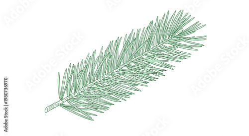 Detailed sketch of a green pine needle branch offers a natural evergreen element for winter holiday and nature themed design projects.