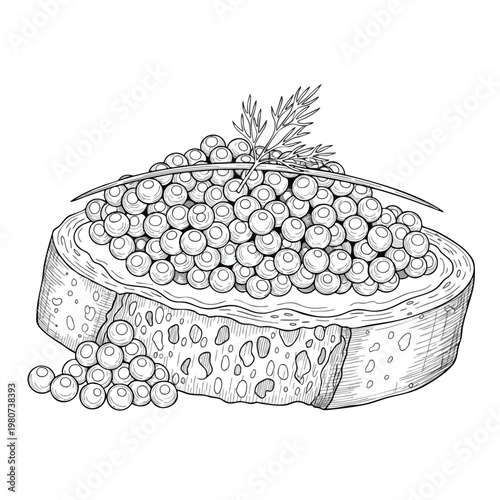 Freshberry Fruit Slice Illustration for Food and Health Content
