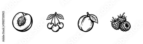 Garden Fruit and Orchard Harvest Elements with Hand-Drawn Ink Hatching and Detailed Woodcut Engraving Style Brushwork