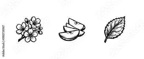 Apple Fruit Harvest and Botanical Blossom Elements with Hand-Drawn Inky Brushwork and Organic Painterly Textures