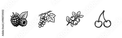 Garden Berry Fruits and Botanical Leaf Sprigs with Hand-Drawn Inky Brush Strokes and Organic Calligraphic Weighted Lines
