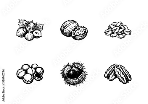 Nut Variety and Seed Collection with Hand-Drawn Inky Brush Strokes and Saturated Earthy Colors