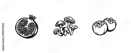 Autumn Harvest Nature Elements and Seasonal Forest Finds with Hand-Drawn Painterly Aesthetic and Fluid Ink Brush Strokes