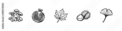 Autumn Harvest and Fall Botanical Elements with Fluid Ink Brush Strokes and Hand-Drawn Painterly Style