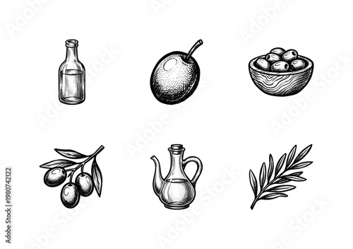 Mediterranean Olive Branch and Organic Oil Set with Hand-Drawn Inky Brushwork and Calligraphic Ink Strokes