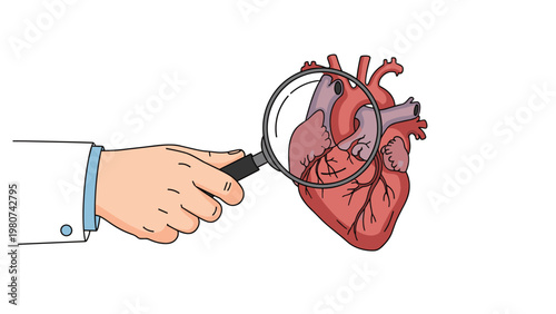 Doctor's hand holds a magnifying glass to closely examine a detailed anatomical model of a healthy human heart.