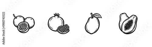 Tropical and Garden Fruit Varieties like Pineapple Pear and Pomegranate in Hand-Drawn Inky Brushstroke Style for Commercial Design