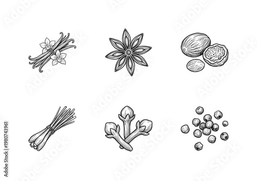 Culinary Herbs and Aromatic Spices for Cooking with Hand-Drawn Inky Brushwork and Fluid Calligraphic Outlines