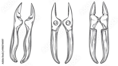 Line art illustration of three different metal pliers, showing various jaw styles