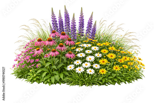 Foto Vibrant garden flower bed arrangement with purple lupine pink coneflowers png is