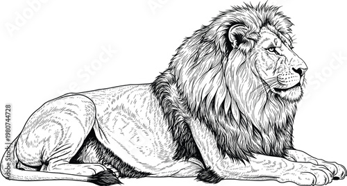 Majestic male lion silhouette hand drawn vintage woodcut style vector illustration of a wild king lion sitting for hunting nature and wildlife branding