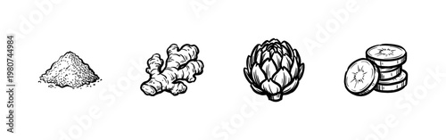 Ginger Root and Culinary Spices Botanical Elements with Hand-Drawn Inky Brush Strokes and Organic Calligraphic Outlines