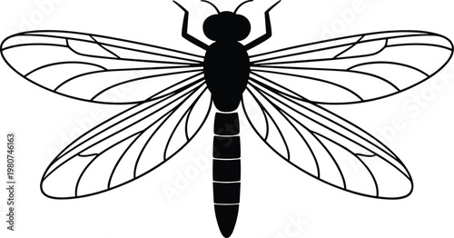 Black and white dragonfly silhouette with detailed wing veins
