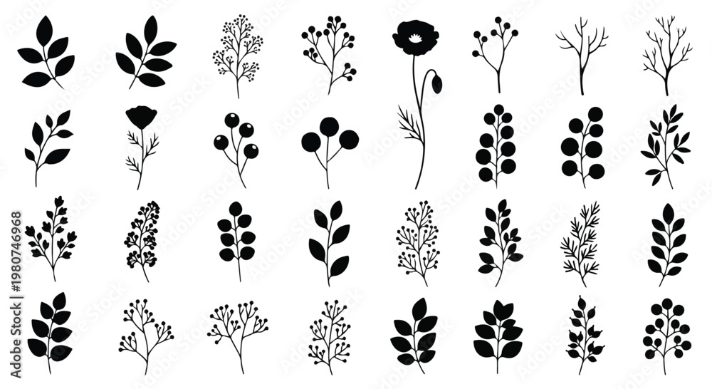 Fototapeta premium Collection of black and white botanical illustrations featuring various plant and leaf designs for nature-themed