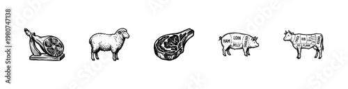 Meat Cuts and Livestock Butcher Guide with Hand-Drawn Inky Brushwork and Vintage Painterly Style