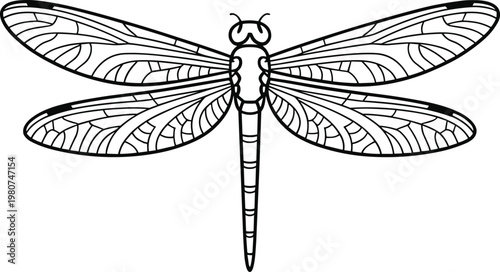Black and white line of a dragonfly with intricate wing patterns