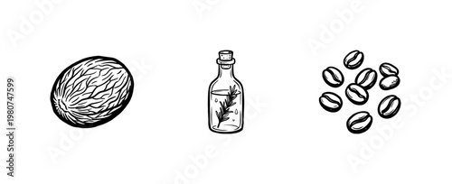 Culinary Herbs and Aromatic Spices for Cooking with Hand-Drawn Inky Brushwork and Organic Calligraphic Lines