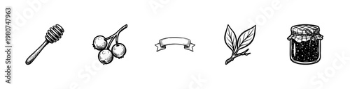 Natural Food Labels and Organic Botanical Elements with Chalkboard Style Hand-Drawn White Ink Brush Strokes