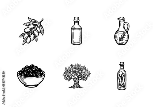 Mediterranean Olive Harvest and Extra Virgin Oil Elements with Hand-Drawn Inky Brushwork and Organic Calligraphic Fluidity