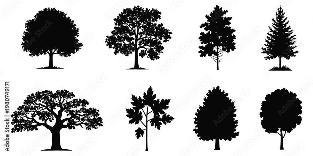 Fototapeta premium Assortment of detailed black tree silhouettes on a white background nature plant