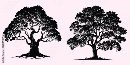 Black silhouettes of two large trees with full canopies on a pale pink background full canopy branches