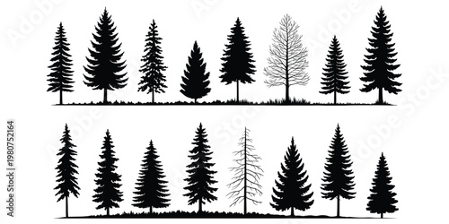 Diverse black silhouettes of pine trees and bare deciduous trees on white background Keywords: pine tree, fir tree, conifer