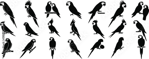 Tropical Macaw and Parrot Icon Set – Black Vector Exotic Bird Silhouette Collection, Isolated on White Background