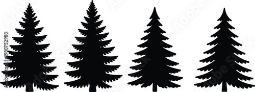 Four Black Silhouette Evergreen Trees of Different Sizes on White pine tree fir tree