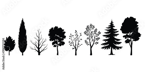 Horizontal row of black tree silhouettes on a white background Keywords: tree, silhouette, black, white, background, nature