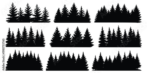 Multiple black silhouettes of dense pine tree forests against a white background Keywords: pine tree, fir tree, conifer